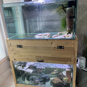 (경기 북부) 우파루파, 테라핀 키우기 프리미엄 ADA 3자 광폭 수조 90x45x45 8T 어항 뚜껑 세트 판매 (개별 가능)