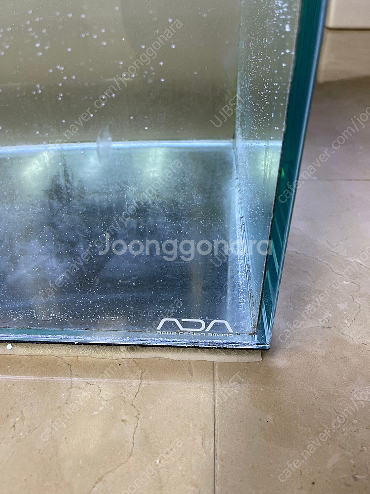 (경기 북부) 우파루파, 테라핀 키우기 프리미엄 ADA...--5