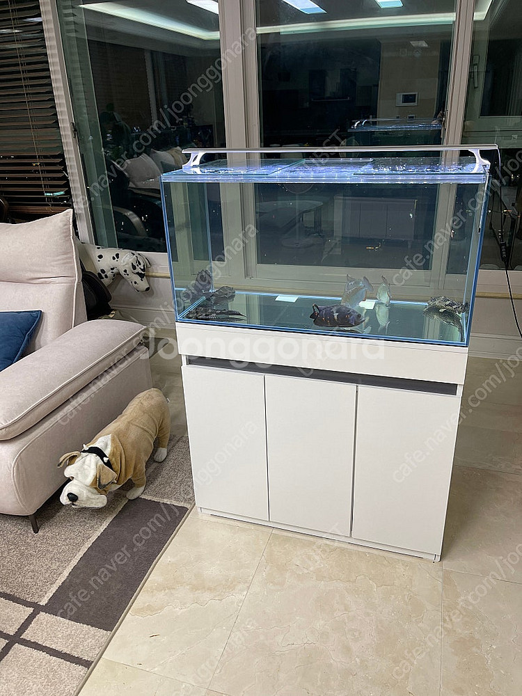 (경기 북부) 프리미엄 3자 광폭 수조 90x45x45...--2