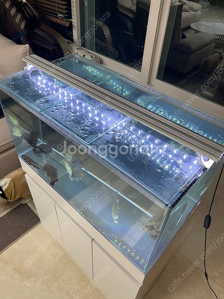 (경기 북부) 프리미엄 3자 광폭 수조 90x45x45...--3