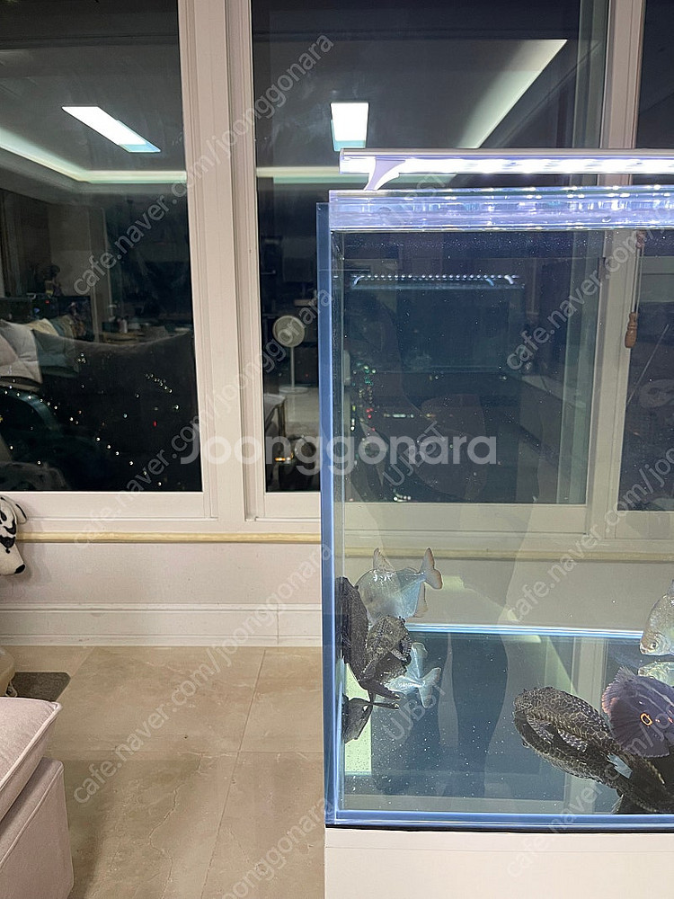 (경기 북부) 프리미엄 3자 광폭 수조 90x45x45...--5