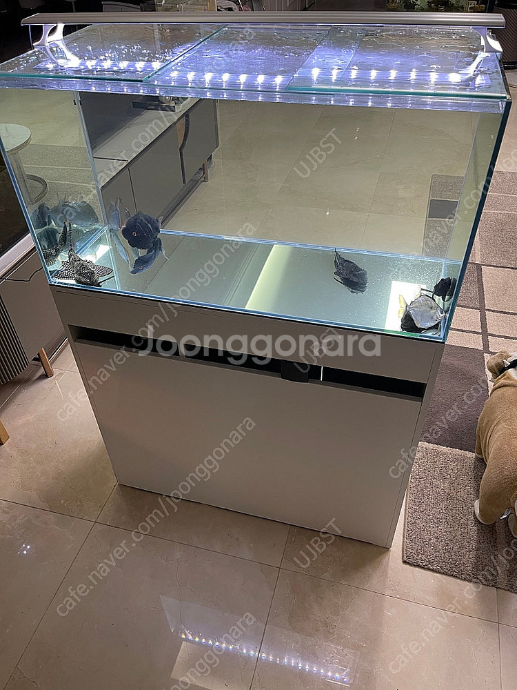 (경기 북부) 프리미엄 3자 광폭 수조 90x45x45...--7