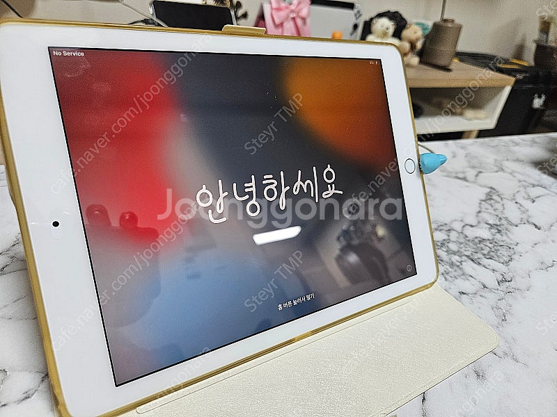 아이패드 프로 9.7 셀룰러 모델 128GB + 애플펜...--2