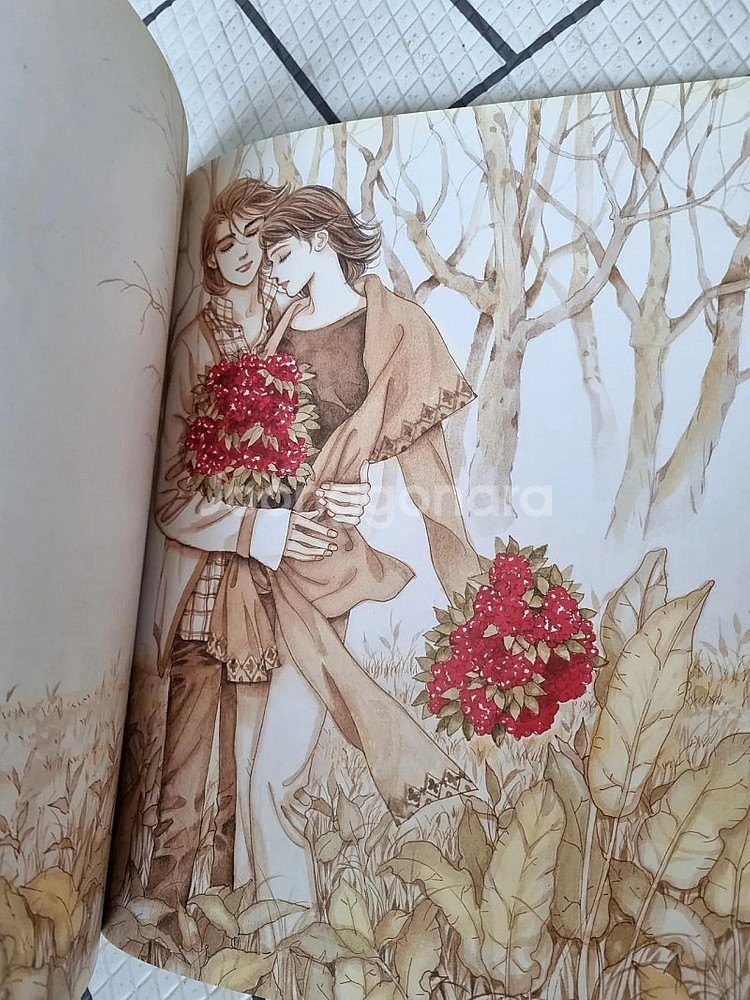 원수연 화보집, 일러스트집 아쥬르, 단편집, 바나나, ...--2