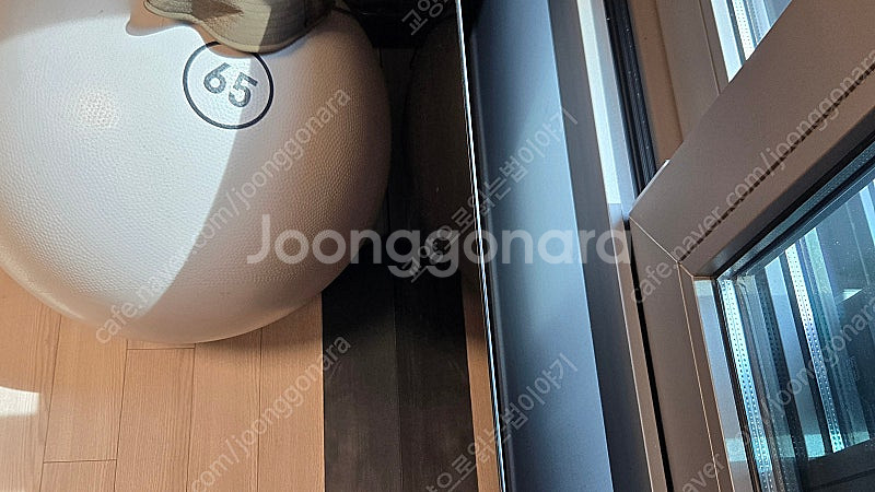 텔레비전 팔아요~~~~~LG OLED55B1FNA--2