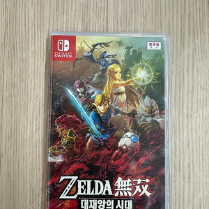 닌텐도 스위치 젤다 무쌍 대재앙