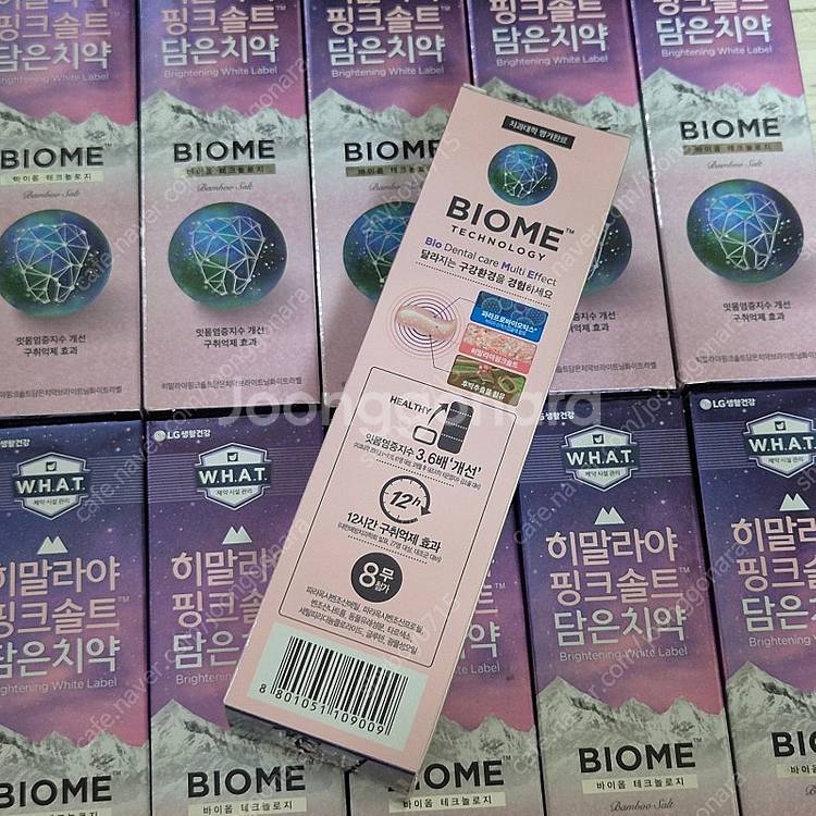 LG 히말라야 핑크솔트 바이옴 치약 100g 40개--1
