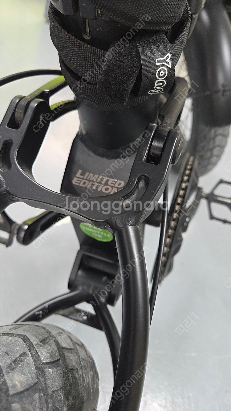 퀄리 Q-MAX Limited Edition(리미티드에...--8