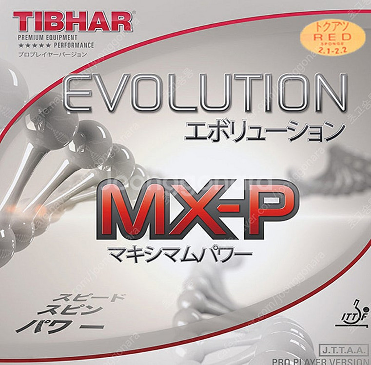 Mxp 흑 적 새거두장--0