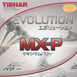 Mxp 흑 적 새거두장