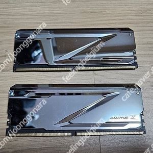 Netac DDR5 32GB (16GBx2) 7200MHz 램