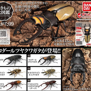 BANDAI(반다이), 생물대도감(사슴벌레 9탄), 왕사슴벌레(미개봉), 급처합니다.