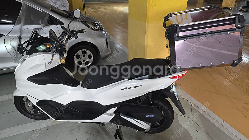 24년식 PCX125--1