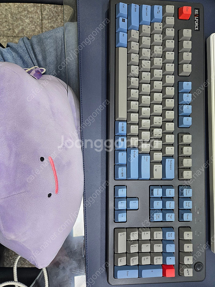 리얼포스 R3 45g 풀배열 무접점 키보드 팝니다--0