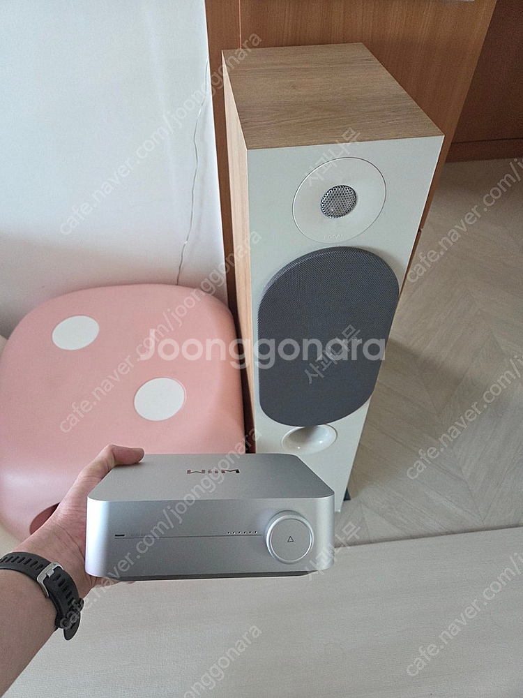 윔앰프 + 포칼 코라 816 판매합니다--0