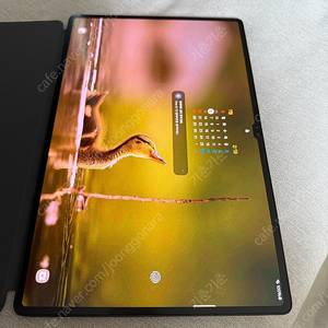 갤럭시 탭s8 울트라 256 wifi