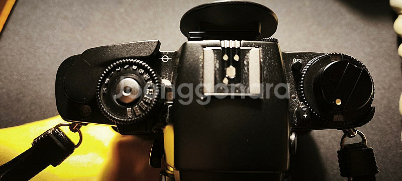 라이카 r6.2 블랙 + 데이터백, 라이카 APO 10...--2
