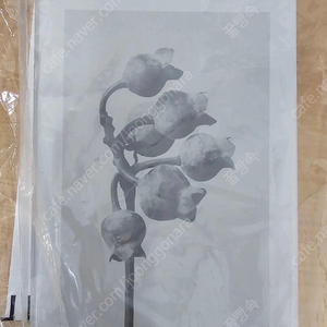 로에베 아이레 수틸레사 75ml 6월말 구매 최신상품 미개봉 최저가