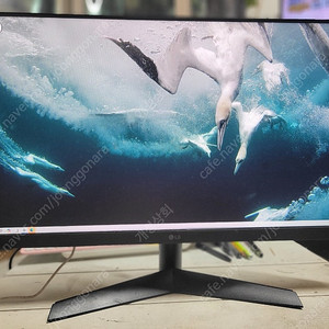LG 24GN60R )울트라기어 게이밍모니터