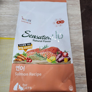 [가격내림/1만3천원] 레네핏 연어 캣 네추럴 푸드 1.6kg 고양이 사료 가수분해 헤어볼 요로 장건강 오프라인 전용