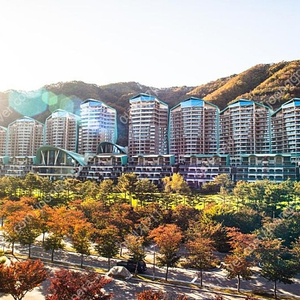 (최저가) 7/12일 홍천 소노펠리체 골드스위트(3룸) 29만 가실분~