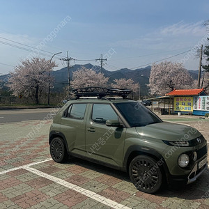 캐스퍼 툴레 가로바 윙바에보 블랙 캐니언 바스켓