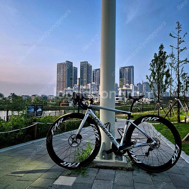 2020 스페셜라이즈드 타막 SL6 스포츠--1