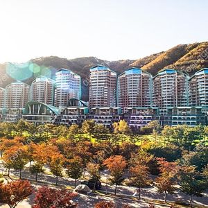 (최저가) 7/12일 홍천 소노펠리체 골드스위트(3룸) 29만 가실분~