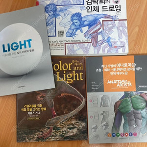 김락희 컬러앤라이트 아나토미 라이트