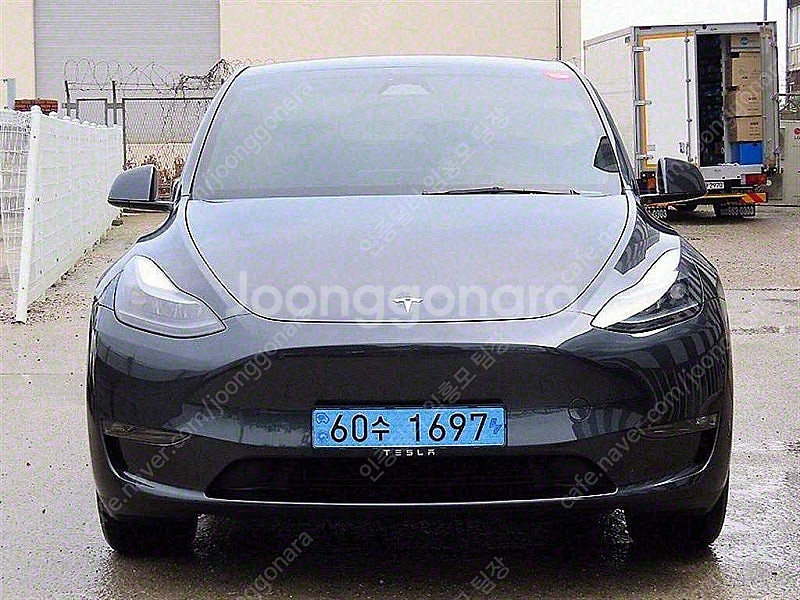 테슬라 모델 Y 중고차 모델Y 회색 2024년식 12,...--0