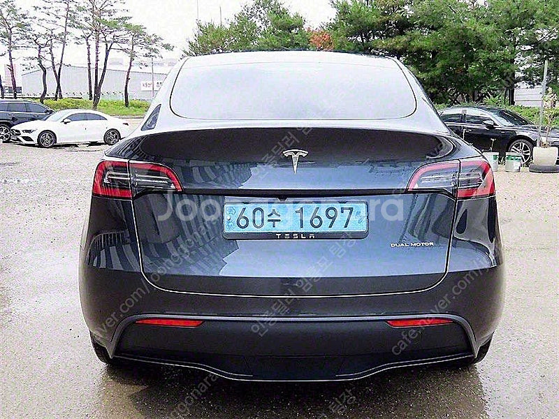 테슬라 모델 Y 중고차 모델Y 회색 2024년식 12,...--5