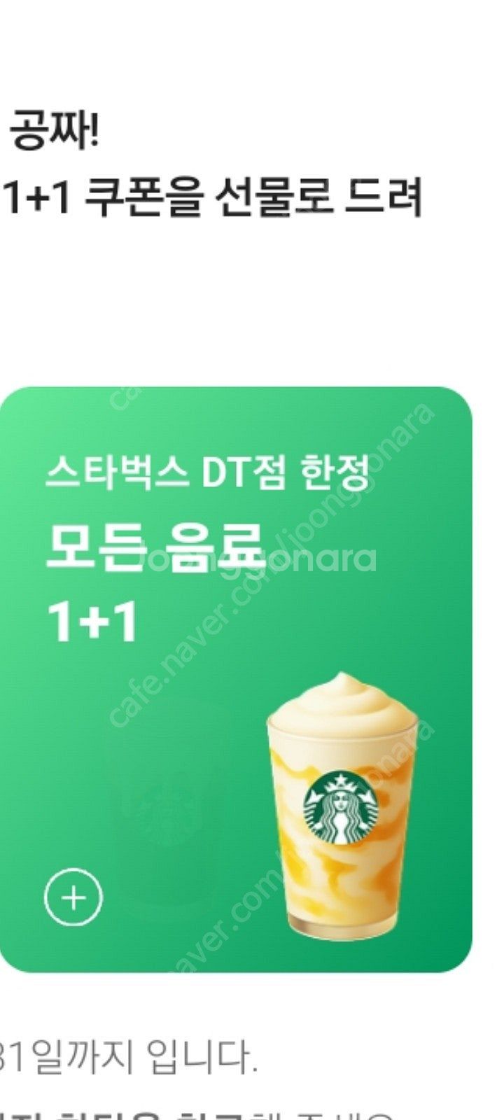스타벅스 DT점 한정 모든음료1+1 쿠폰 3장--0