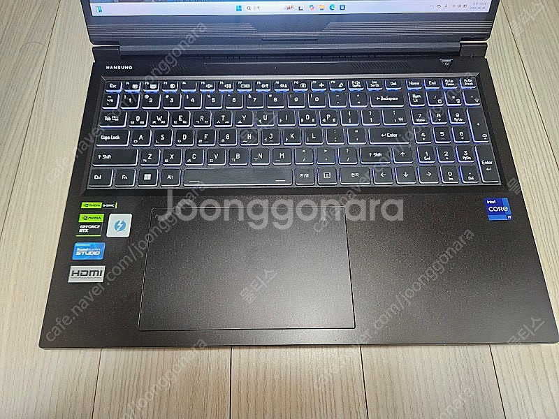 급쳐 15인치 RTX4070 I9 13900HX 초고성...--2