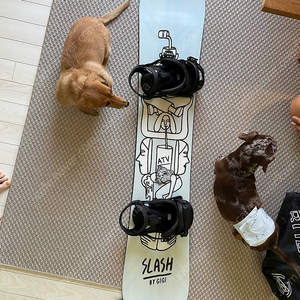 가격인하 | Slash by GiGi ATV 161, 17/18 데크바인딩 올셋 팝니다