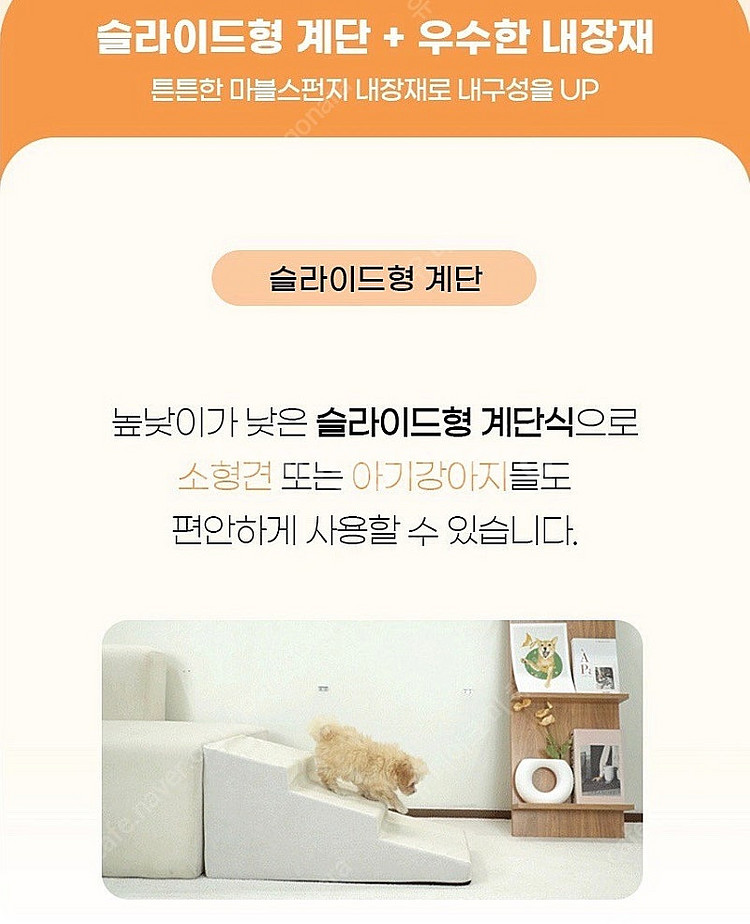 단단하지만 적절한 탄성의 강아지 논슬립 계단 슬라이드 ...--3