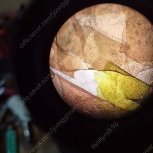 생물현미경 OSUN 600J 인천