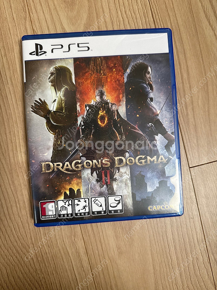 ps5 드래곤즈도그마2--0