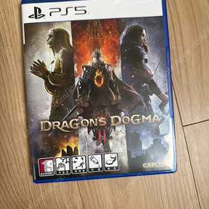 ps5 드래곤즈도그마2