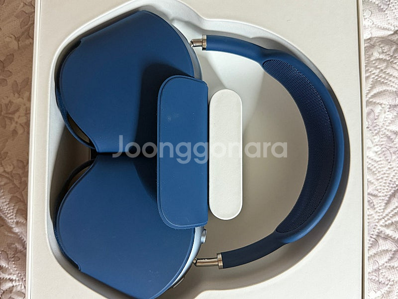 애플 에어팟맥스 스카이블루--3
