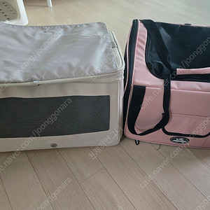 옥희독희 외 강아지이동장
