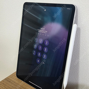 아이패드 프로 11 256GB WI-FI 모델 + 애플 펜슬