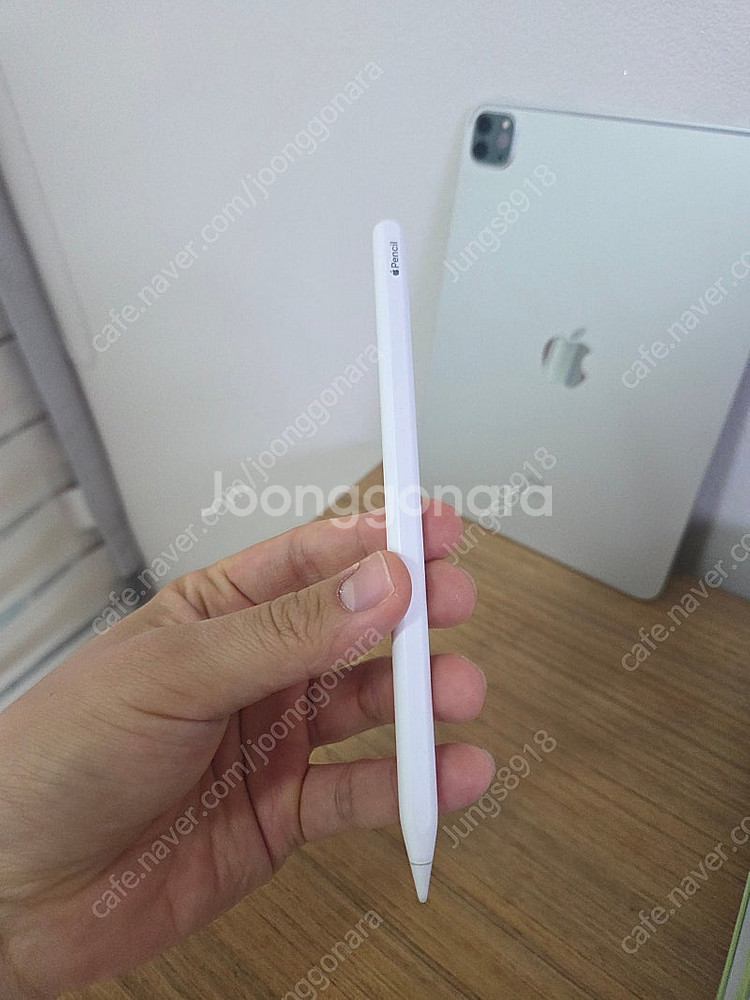 아이패드 프로 11 256GB WI-FI 모델 + 애플...--5
