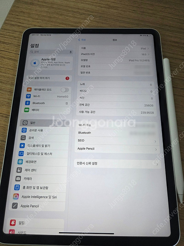 아이패드 프로 11 256GB WI-FI 모델 + 애플...--6