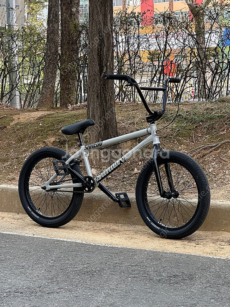 Sunday EX 21" tt bmx 선데이--0