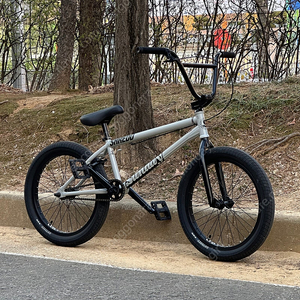 Sunday EX 21" tt bmx 선데이