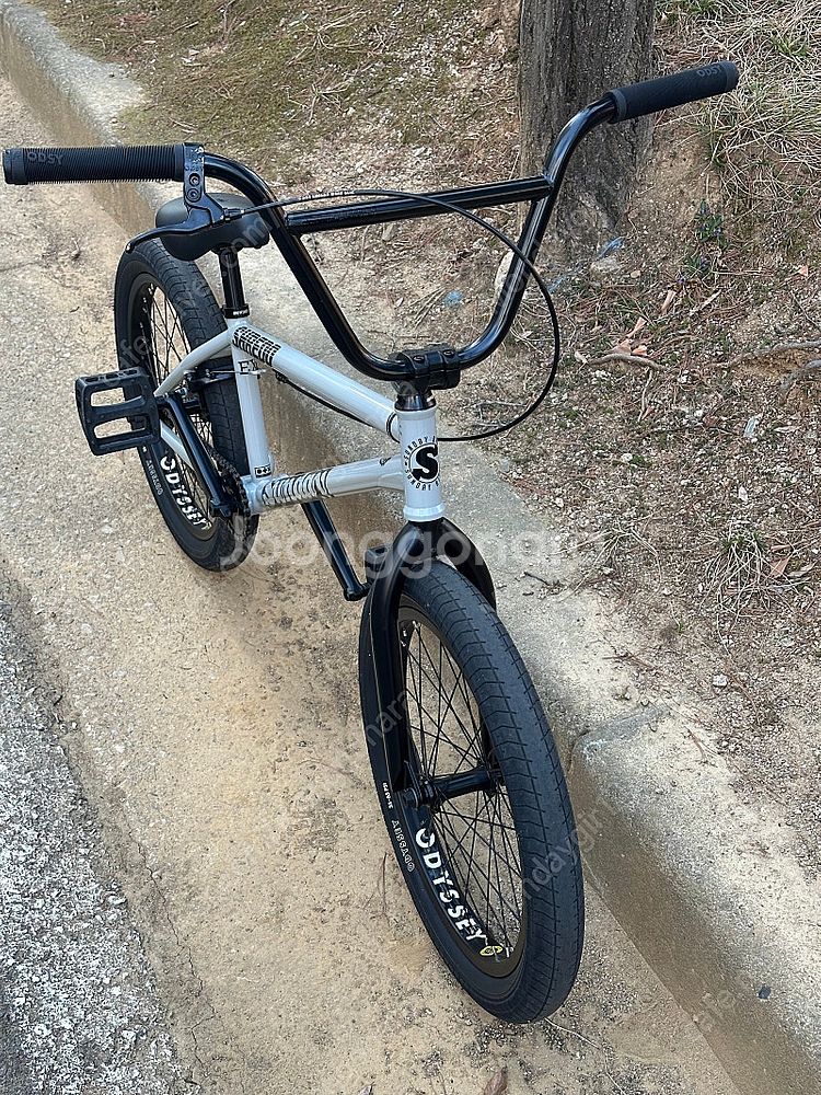 Sunday EX 21" tt bmx 선데이--2