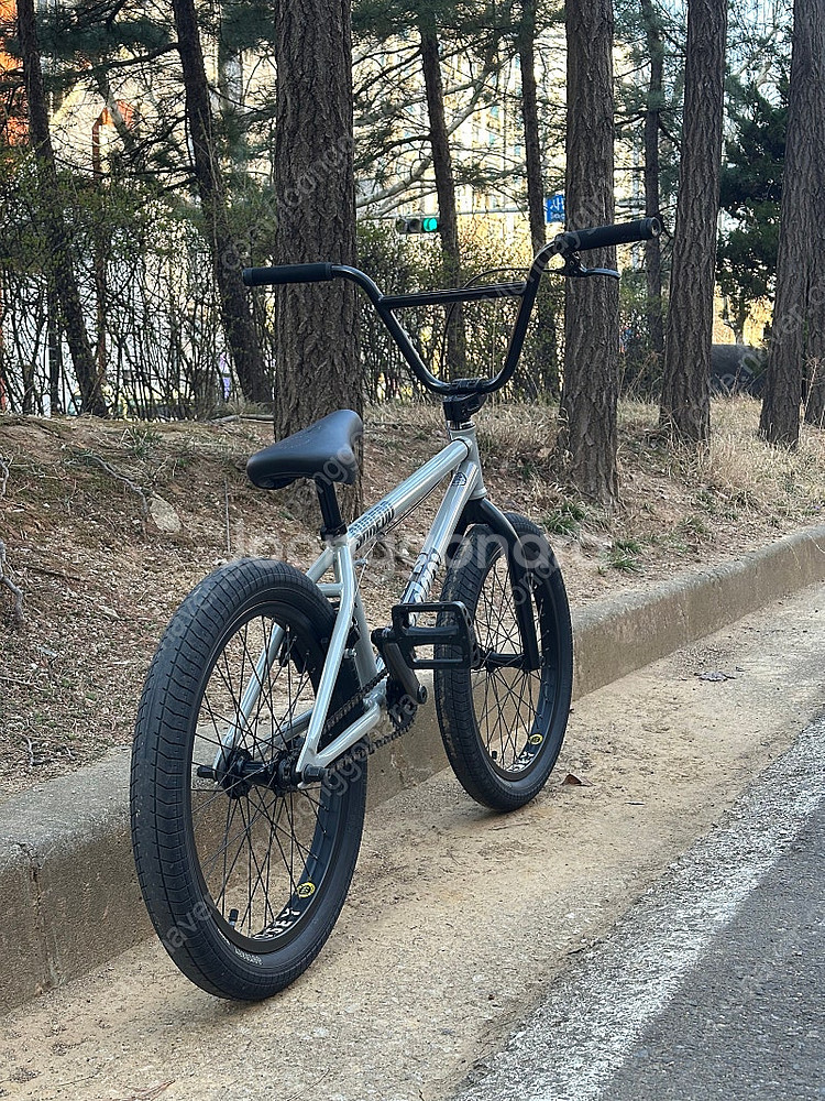 Sunday EX 21" tt bmx 선데이--3