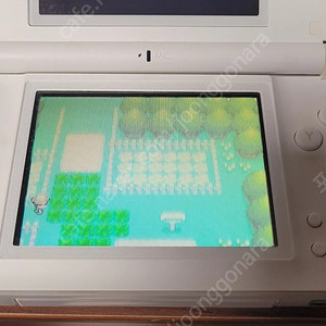 포켓몬스터 디아루가 포켓몬 팩 팔아요 ds