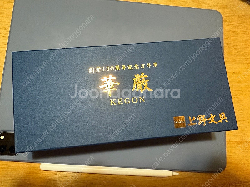 파이롯트 캡리스 데시모 - 케곤(우에분 한정) F닙 만년필 파일로트--1