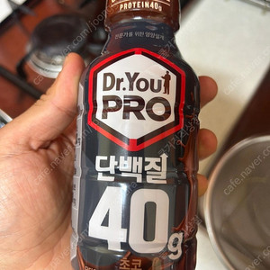 프로틴 단백질